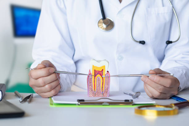 Best Dentist for Dental Trauma  in Rice Lake, MN